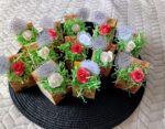 Мини кашпи с цвете подарък за всяка дама