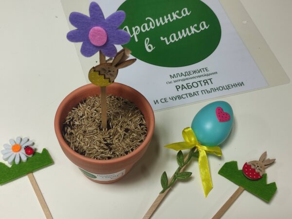 Комплект "Засади сам" - керамична саксийка и боички
