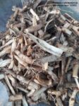 Бъзак, Тревист бъз (Sambucus ebulus) корени - 100 грама (по заявка на клиента)